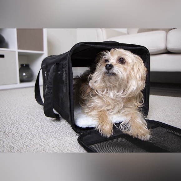 TrustyPüp EASY EXPLORER Pet Carrier | NIB | Black | Size: M - Picture 8 of 13